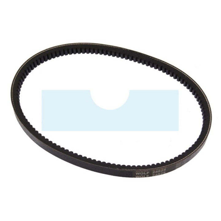 Courroie pour tondeuse Wolf (24825)
