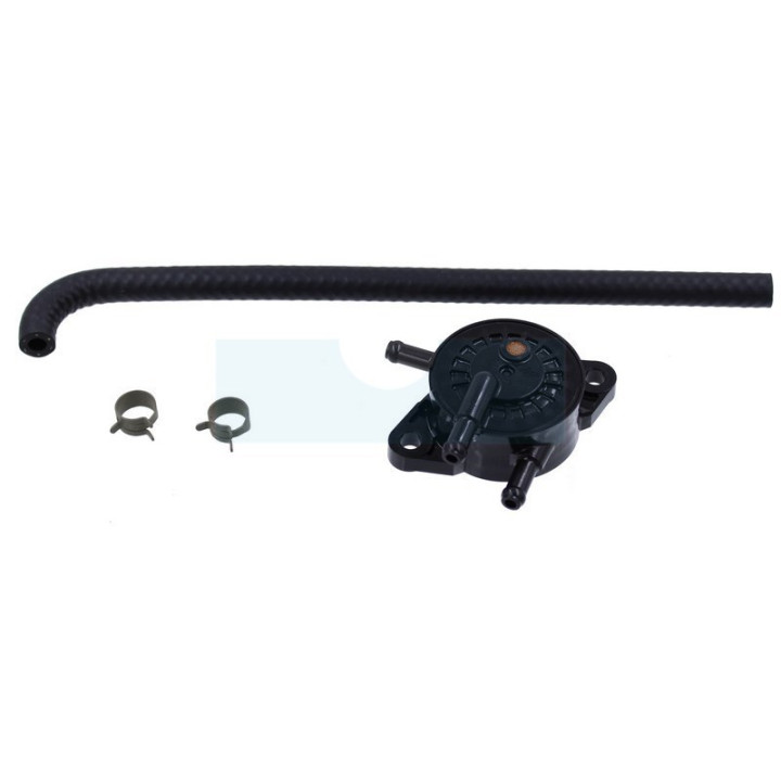 Pompe à essence pour moteur Briggs & Stratton (799056)