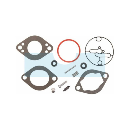 Kit réparation carburateur pour moteur Briggs & Stratton (796137)