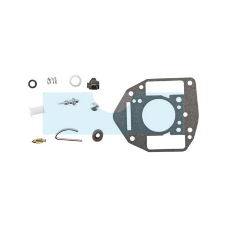 Kit réparation carburateur pour moteur Briggs & Stratton (842881)