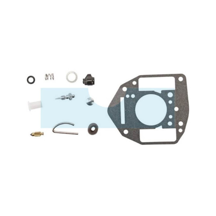 Kit réparation carburateur pour moteur Briggs & Stratton (842881)