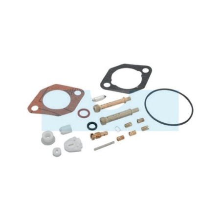 Kit réparation carburateur pour moteur Briggs & Stratton (715156)
