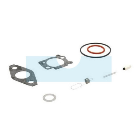 Kit réparation carburateur pour moteur Briggs & Stratton (793622)