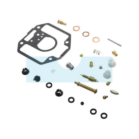 Kit réparation carburateur pour moteur Briggs & Stratton (808274)