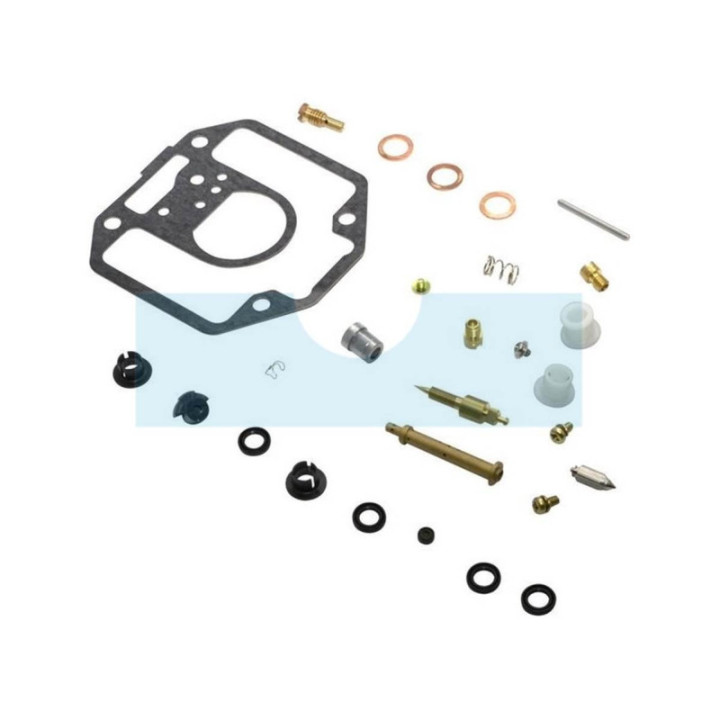 Kit réparation carburateur pour moteur Briggs & Stratton (808274)