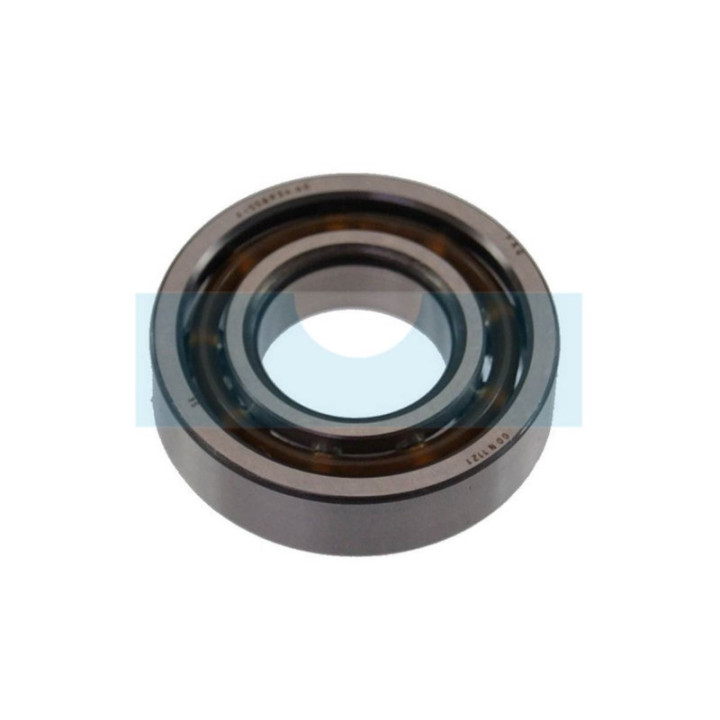 Roulement de vilebrequin pour tronçonneuse Stihl (95030030322)