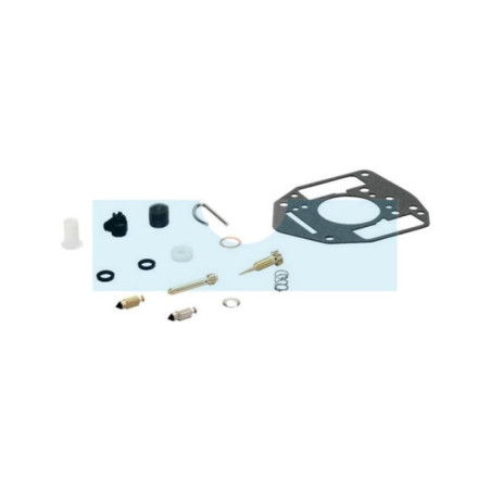 Kit réparation carburateur pour moteur Briggs & Stratton (809021)