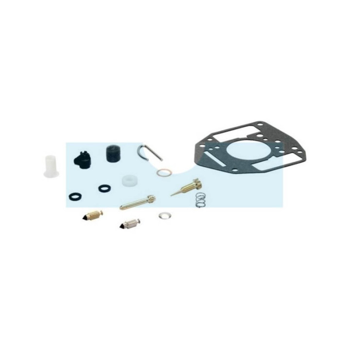 Kit réparation carburateur pour moteur Briggs & Stratton (809021)