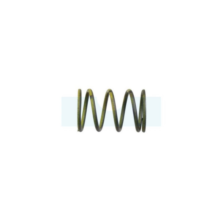 Ressort de soupape pour moteur / tondeuse Honda (14751ZF1000)
