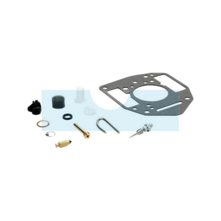Kit réparation carburateur pour moteur Briggs & Stratton (842877)