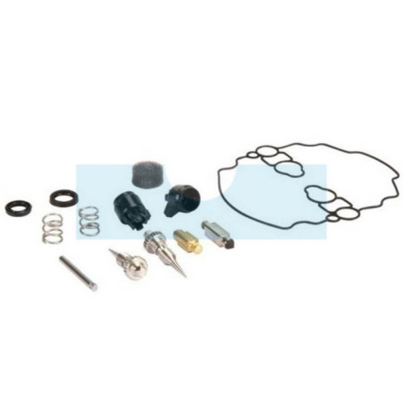 Kit réparation carburateur pour moteur Briggs & Stratton (842873)