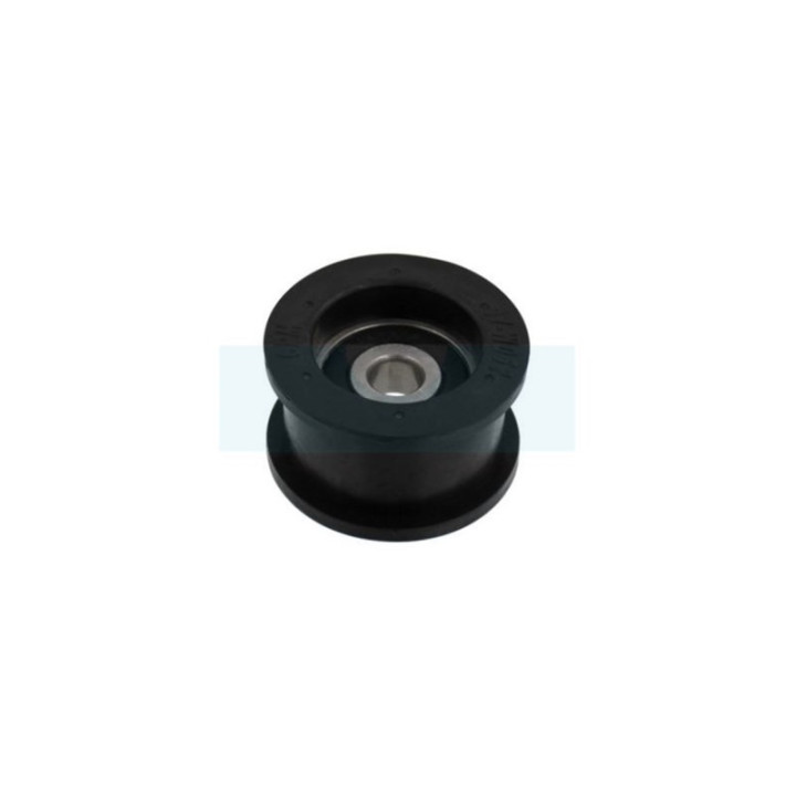 Poulie sur roulement pour scarificateur Pilote 88 (30554)