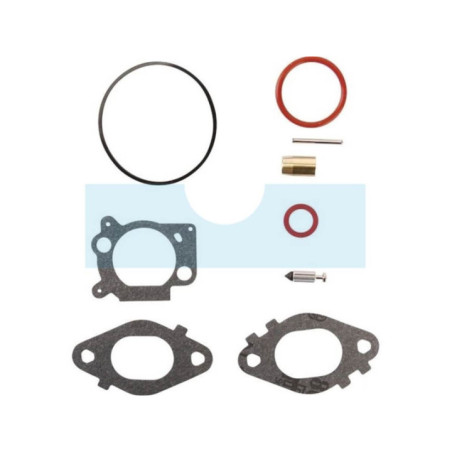 Kit réparation carburateur pour moteur Briggs & Stratton (592172)