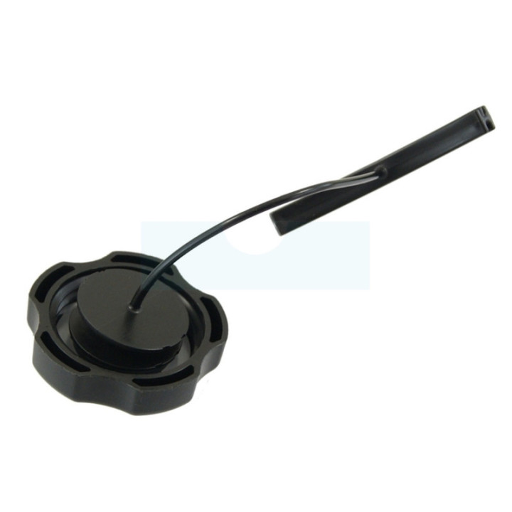 Bouchon d'essence pour moteur Briggs & Stratton (596206)