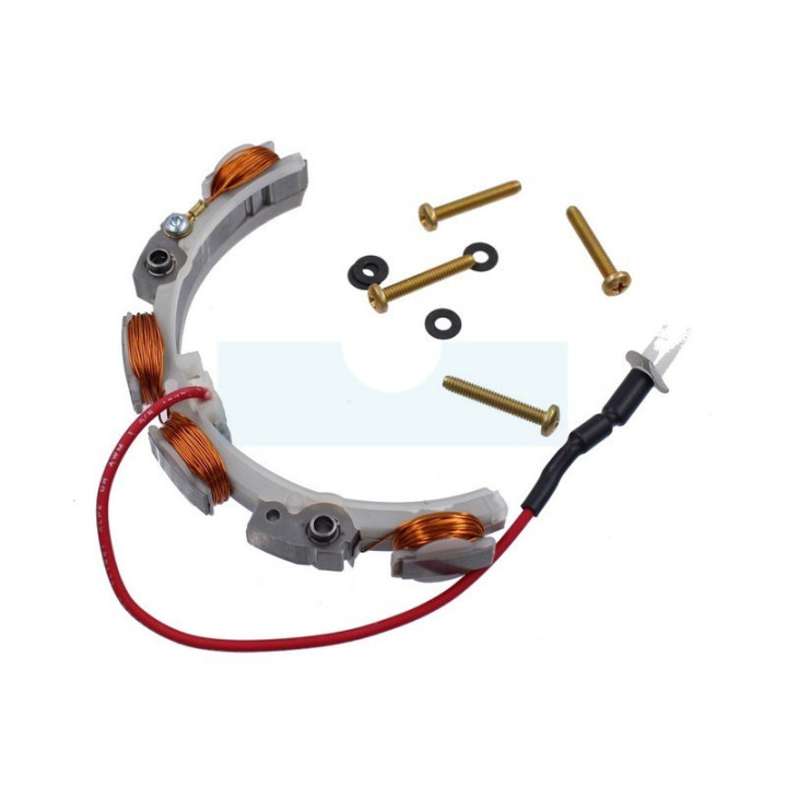 Alternateur pour moteur Briggs & Stratton (696578)