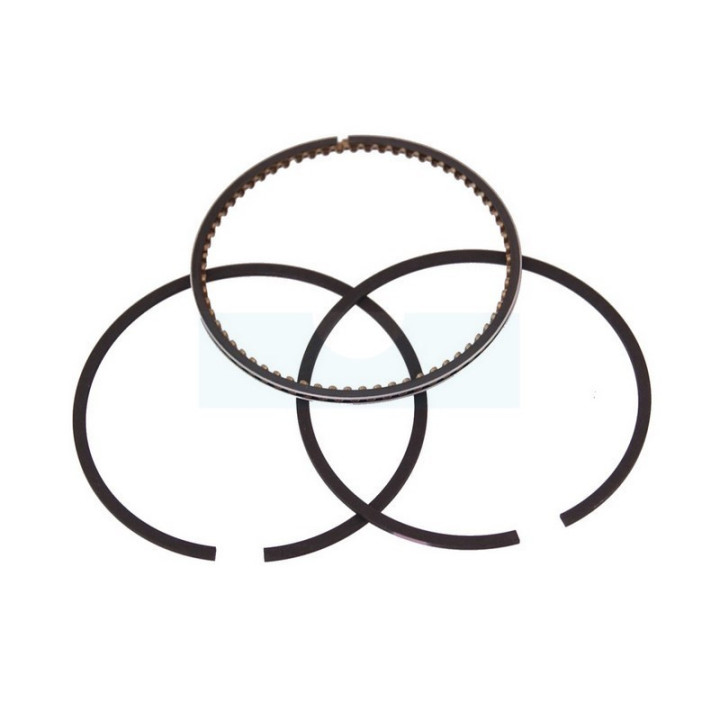 Kit segment pour moteur Briggs & Stratton (591976)