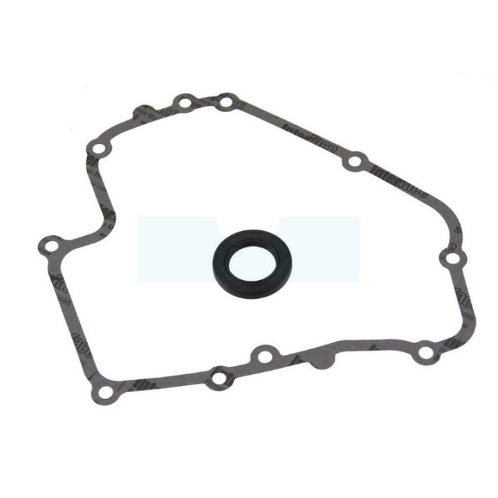 Carter pour moteur Briggs & Stratton (793509)