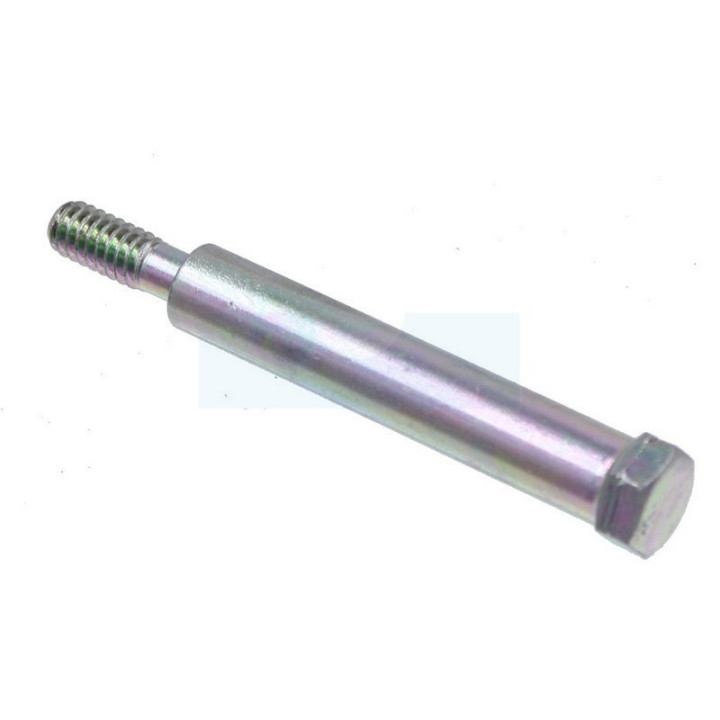 Vis d'échappement pour moteur Briggs & Stratton (790833)