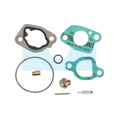 Kit réparation carburateur pour moteur Briggs & Stratton (592423)