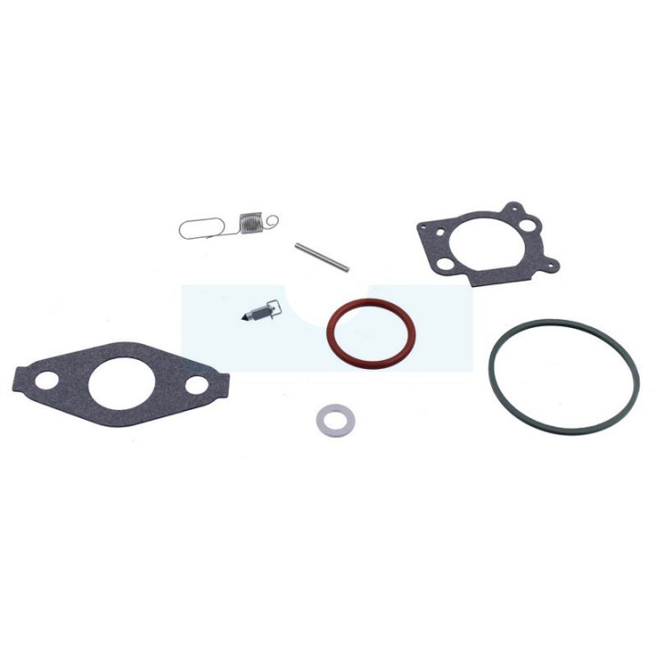 Kit réparation carburateur pour moteur Briggs & Stratton (592483)