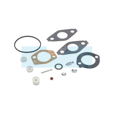 Kit réparation carburateur pour moteur Briggs & Stratton (695157)