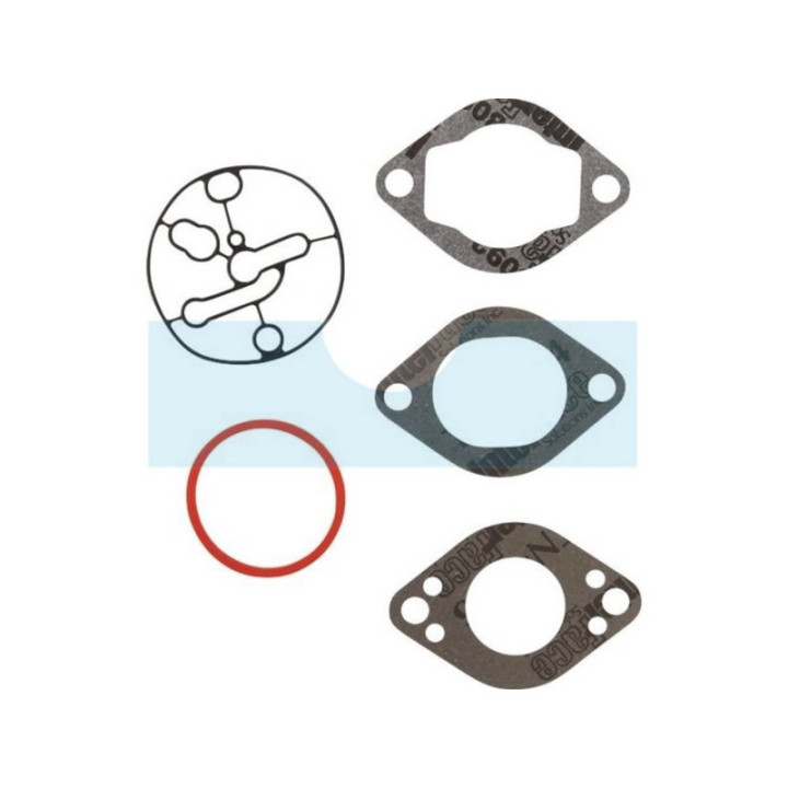 Kit réparation carburateur pour moteur Briggs & Stratton (696146)