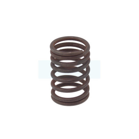 Ressort de soupape pour moteur Briggs & Stratton (690520)