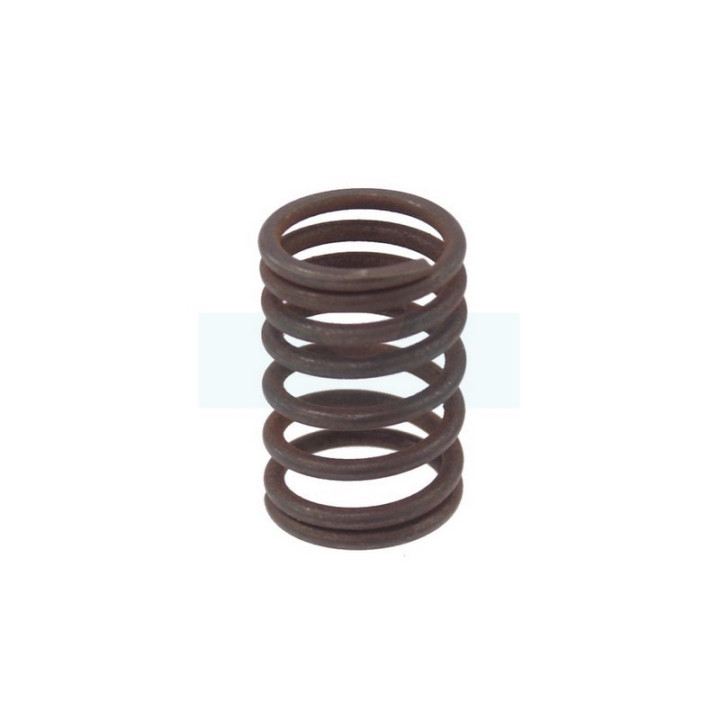 Ressort de soupape pour moteur Briggs & Stratton (690520)