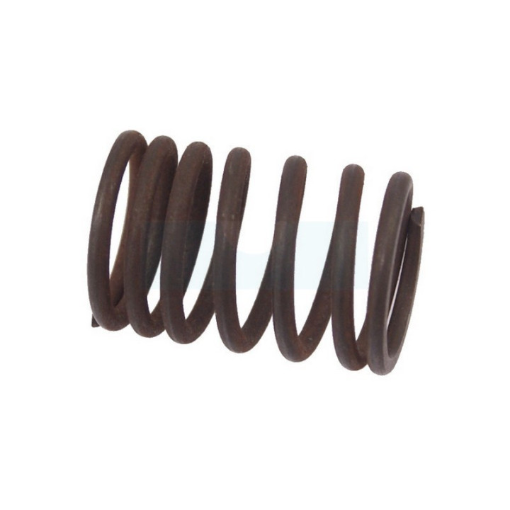 Ressort de soupape pour moteur Briggs & Stratton (690520)