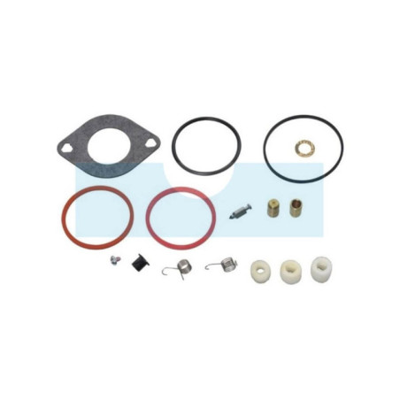Kit réparation carburateur pour moteur Briggs & Stratton (697241)