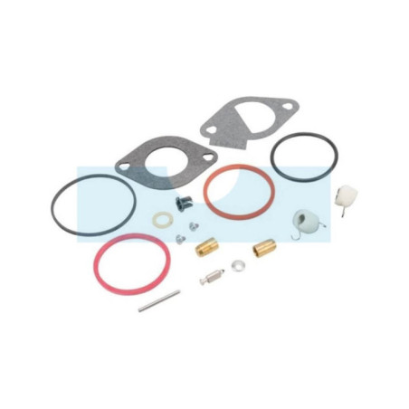 Kit réparation carburateur pour moteur Briggs & Stratton (796185)