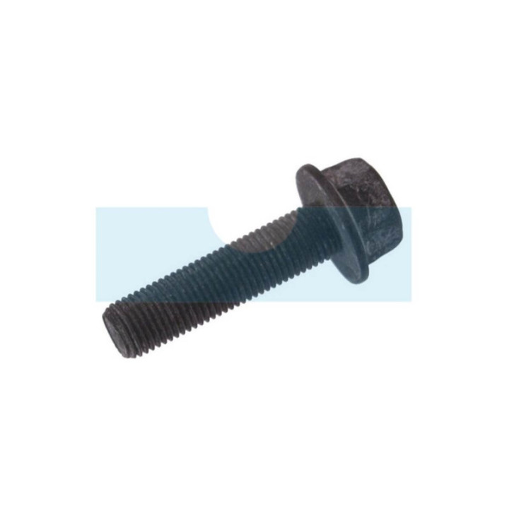 Vis de lame pour tracteur tondeuse Mc Culloch (583116901)