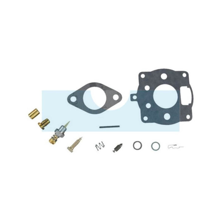 Kit réparation carburateur pour moteur Briggs & Stratton (492024)