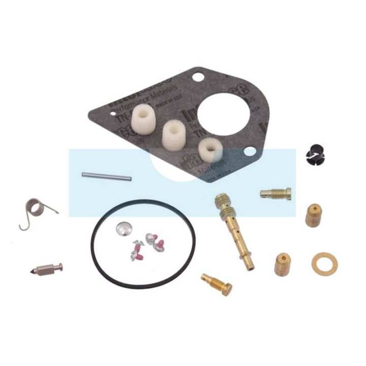 Kit réparation carburateur pour moteur Briggs & Stratton (497971)