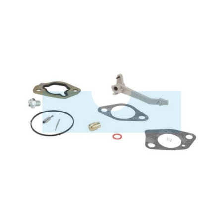 Kit réparation carburateur pour moteur Briggs & Stratton (590453)