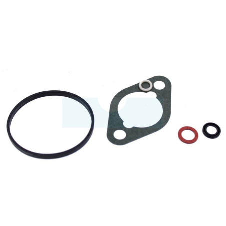 Kit joint de carburateur pour moteur Briggs & Stratton (715081)