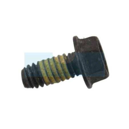 Vis pour moteur Briggs & Stratton (690877)