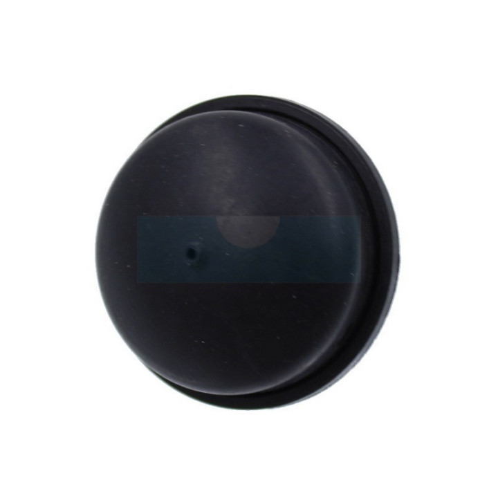 Pompe d'amorçage pour moteur Briggs & Stratton (394281S)