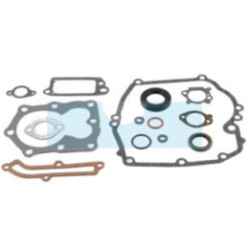 Pochette de joint pour moteur Briggs & Stratton (497316)
