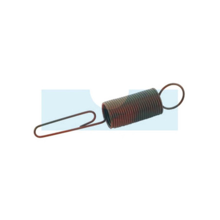 Ressort de régulateur pour moteur Briggs & Stratton (690569)