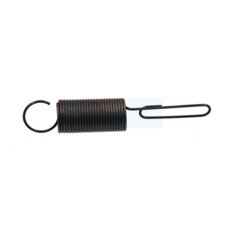 Ressort de régulateur pour moteur Briggs & Stratton (262659)