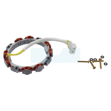 Alternateur pour moteur Briggs & Stratton (696579)