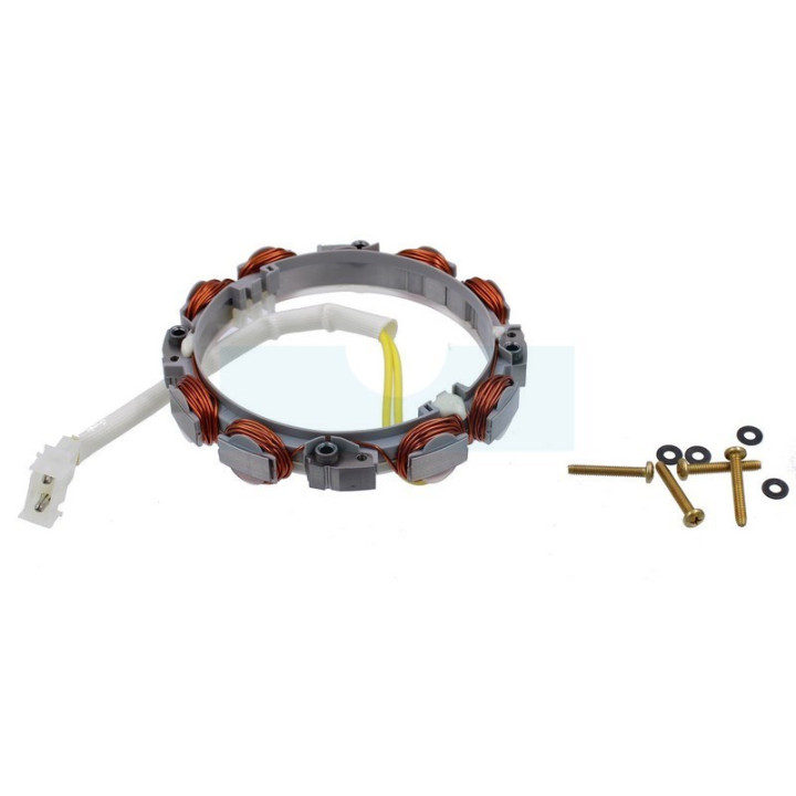 Alternateur pour moteur Briggs & Stratton (696579)