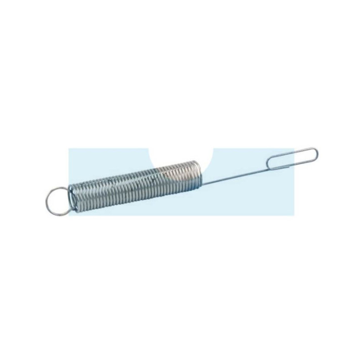 Ressort de régulateur pour moteur Briggs & Stratton (262298)