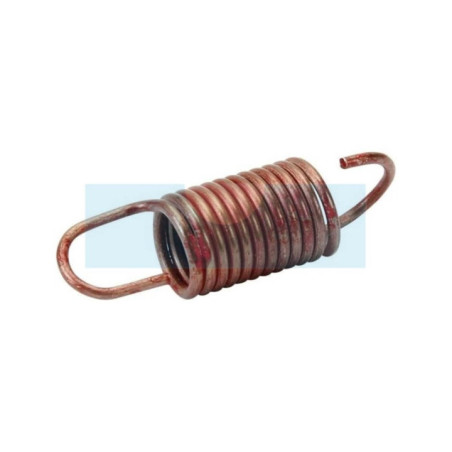 Ressort de régulateur pour moteur Briggs & Stratton (261720)