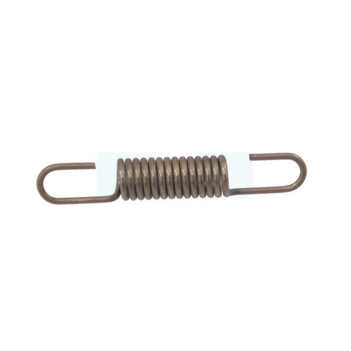 Ressort de régulateur pour moteur Briggs & Stratton (691019)