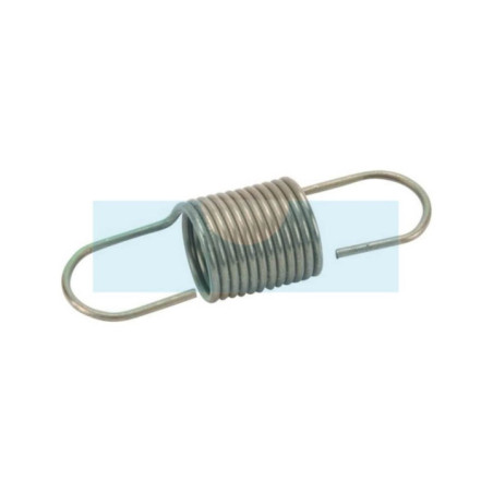 Ressort de régulateur pour moteur Briggs & Stratton (793339)
