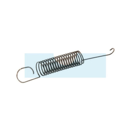 Ressort de régulateur pour moteur Briggs & Stratton (790220)