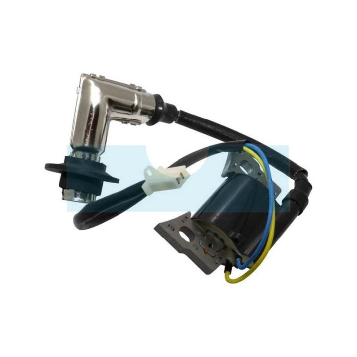 Bobine d'allumage pour moteur Briggs & Stratton (317436)
