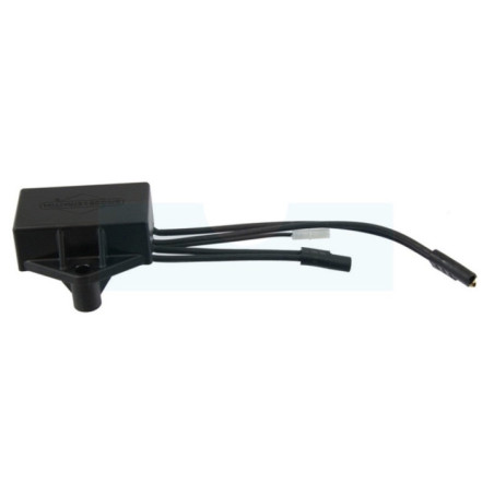 Module d'allumage pour moteur Briggs & Stratton (593994)